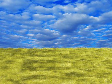 güneşli gökyüzü mavi zemin üzerine sarı taze çimen