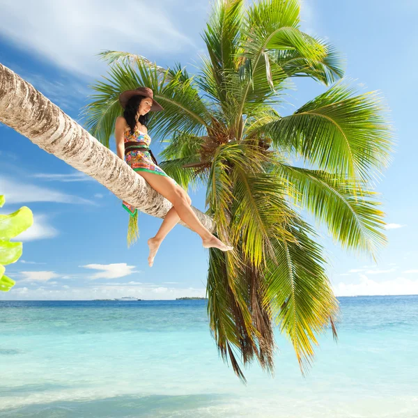 Mulher de moda situada em cima da palmeira na praia — Fotografia de Stock