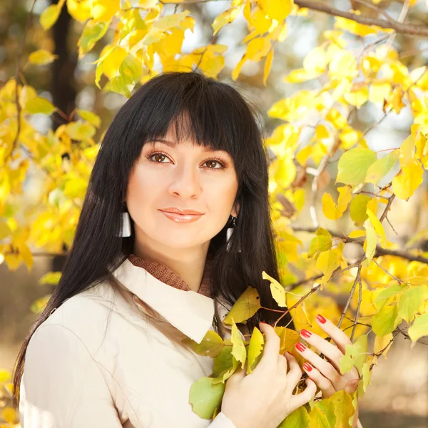 stock image Young pretty woman in the autumn park