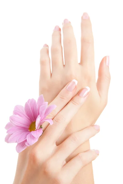 Troska o zmysłowość kobiece dłonie — Zdjęcie stockowe