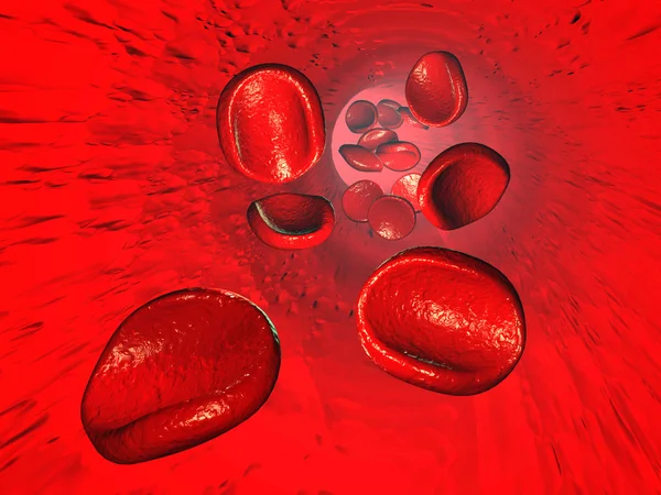 stock image Red blood cells