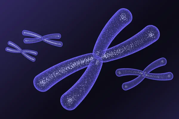 Cromosome — Stockfoto