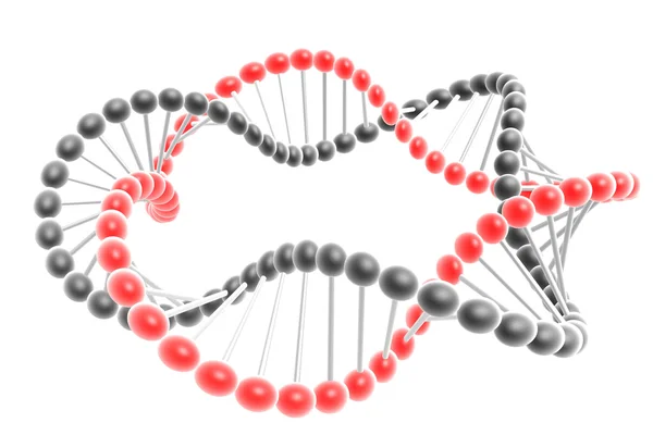 stock image Dna spiral