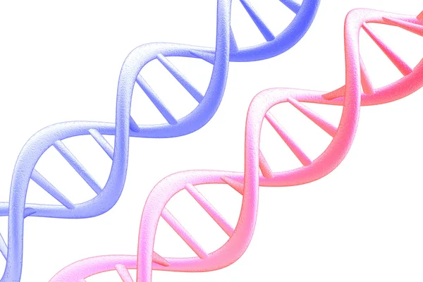Спіралі ДНК — стокове фото