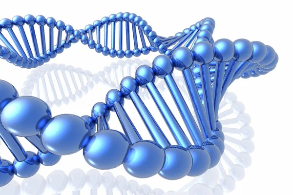 DNA的渲染 — 图库照片