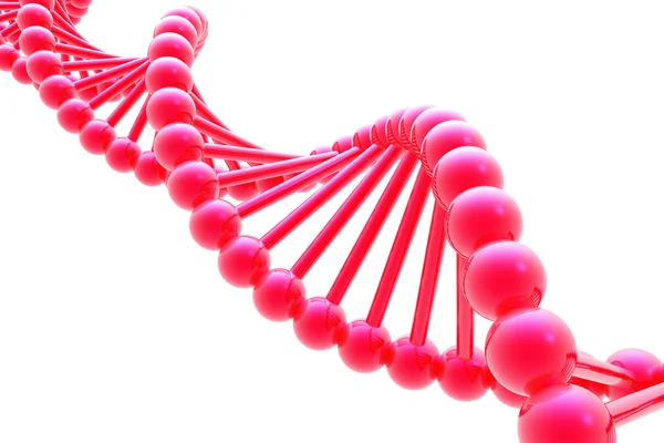 Spirala DNA — Zdjęcie stockowe