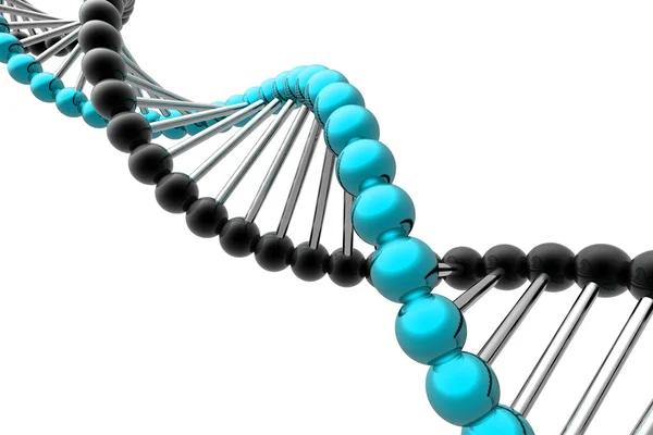 Espiral de ADN —  Fotos de Stock