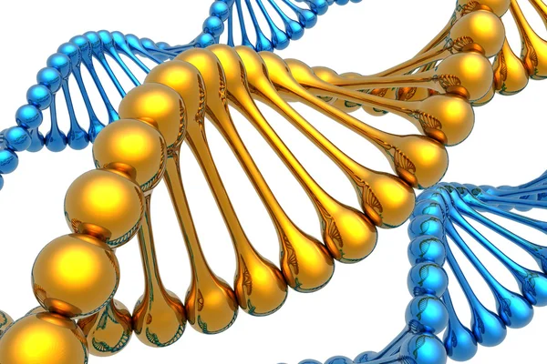 DNA dorato unico — Foto Stock