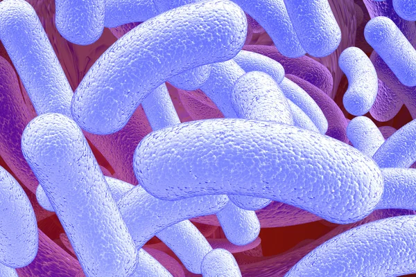 Illustration of the bacillus microorganisms — Stock Photo, Image