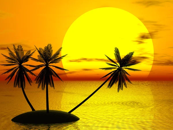 夕阳红 & 棕榈 — 图库照片