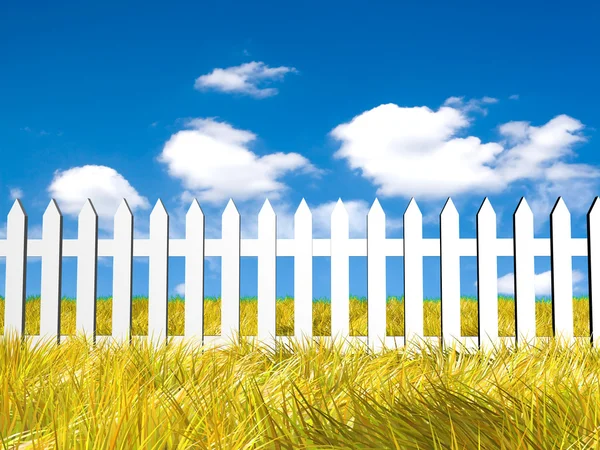 stock image Fresh yellow grass on blue sunny sky background