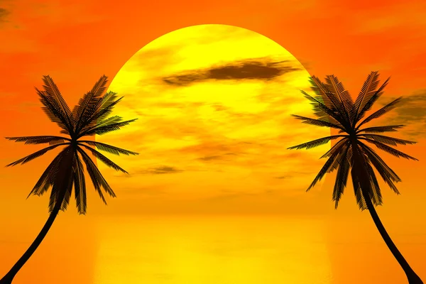 Röd solnedgång och palm — Stockfoto