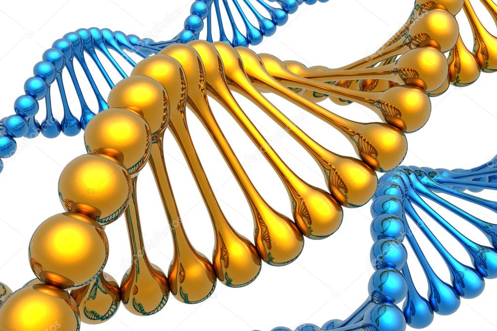 Unique golden DNA