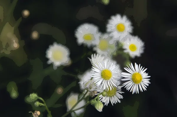 ポスタリゼーションの花 — ストック写真