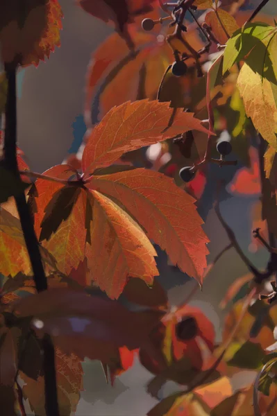 Posterized autumn plants — Stock Photo, Image