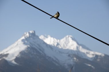 Stubaital, Avusturya Kayak