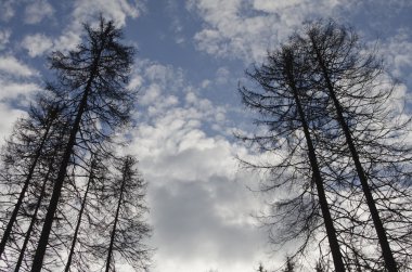 Tatra Dağları, Polonya