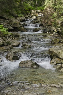 Tatra Dağları, Polonya