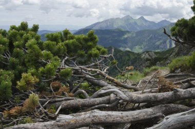 Tatra Dağları, Polonya