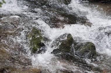 Tatra Dağları, Polonya