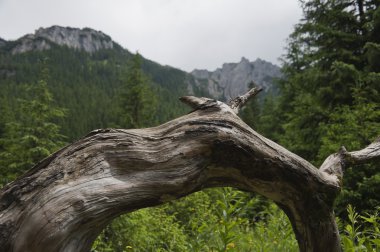 Tatra Dağları, Polonya