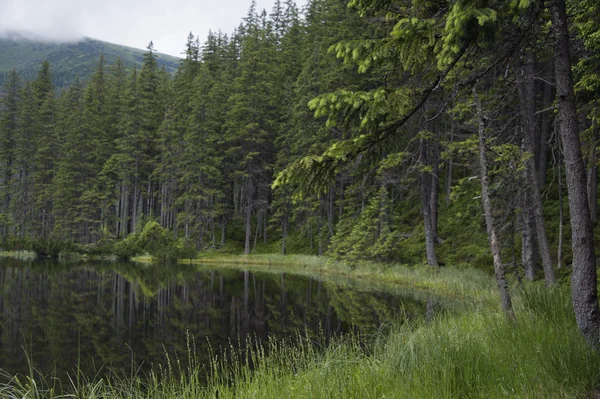 stock image In Tatra mountains, Poland