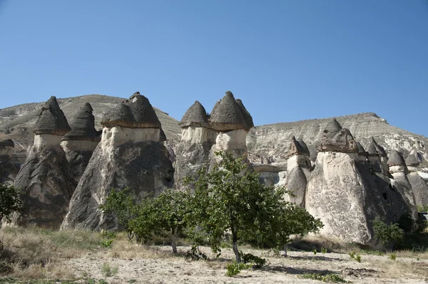 Visite en Cappadoce — Photo