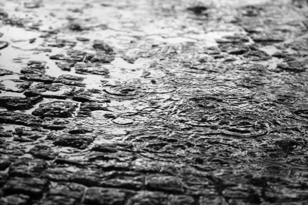 Дождь красивый фон — стоковое фото