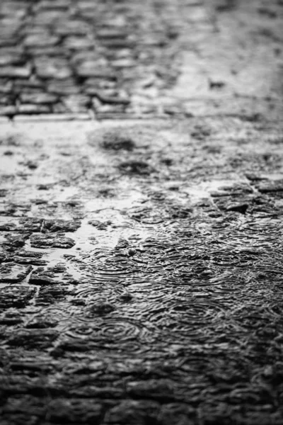 Дождь красивый фон — стоковое фото