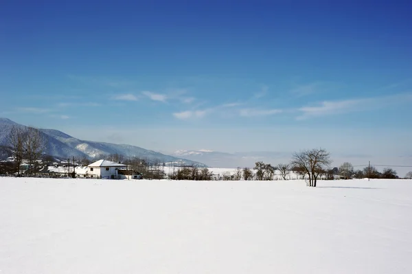 Зимний пейзаж с деревьями и домами — стоковое фото