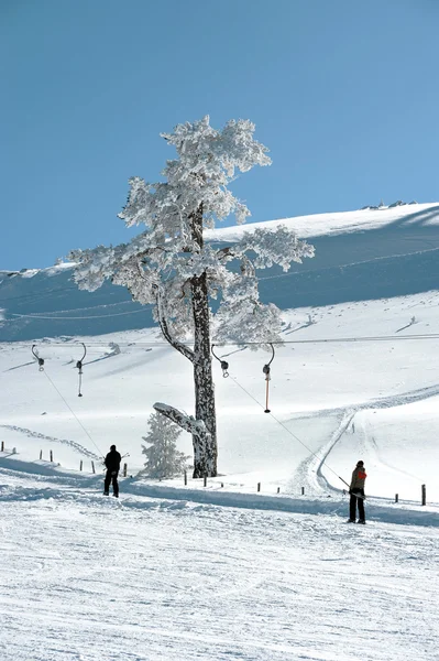 Skilift in de bolu (Turkije) bergen skilift in de bergen bolu (Turkije) — Stockfoto