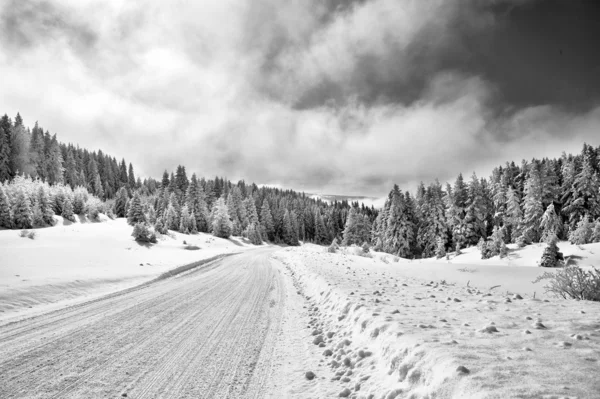 हिवाळी रस्ता — स्टॉक फोटो, इमेज