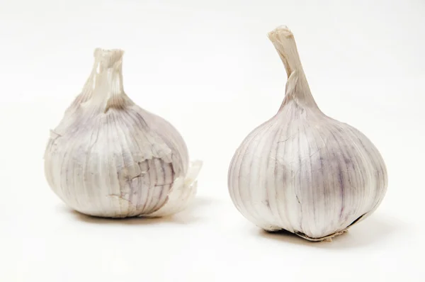 stock image Garlic