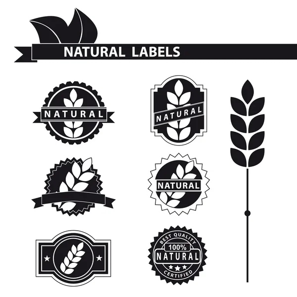 Set de etiquetas naturales — Vector de stock