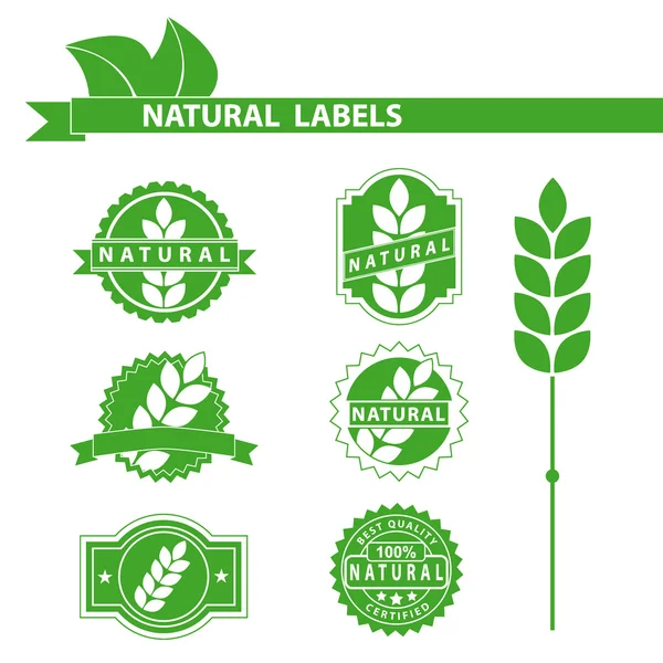 Étiquettes vertes naturelles — Image vectorielle