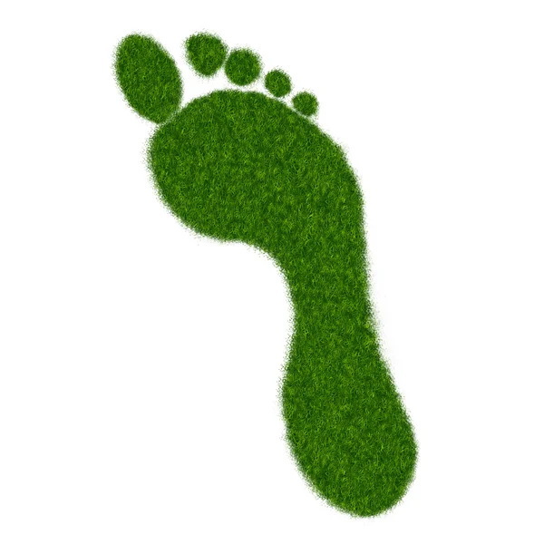Grass Footprint — Stock Photo, Image