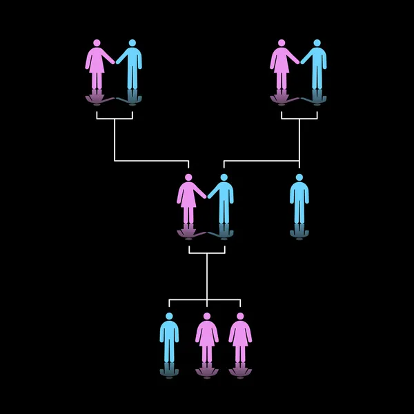 Lidský rodinný strom — Stockový vektor