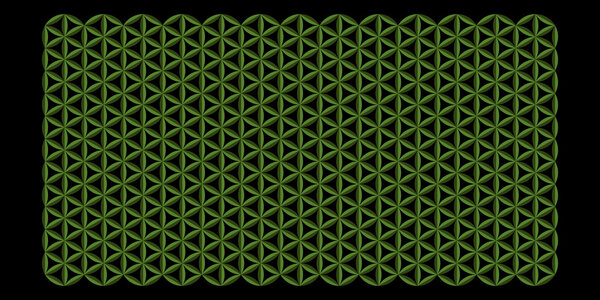 Flower of Life Pattern