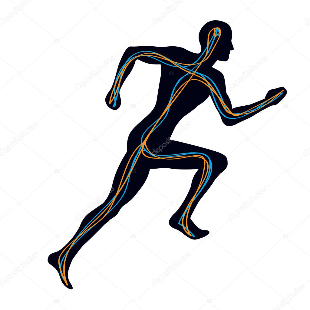 Man Running Showing Two Pathways Connecting Brain to Muscles