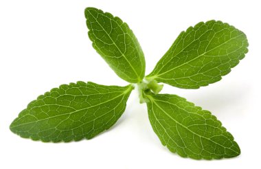 Stevia clipart