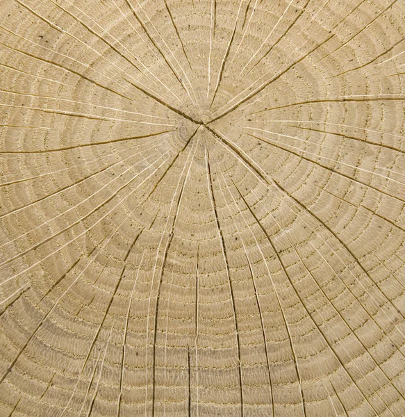 Дерев'яні core — стокове фото