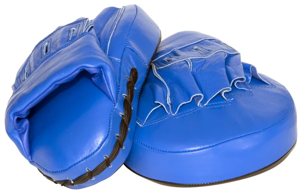 Blue mitts — Stock Photo, Image