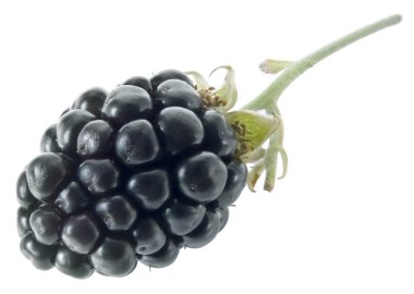 Blackberry