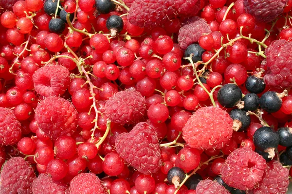 Frutta assortite — Foto Stock