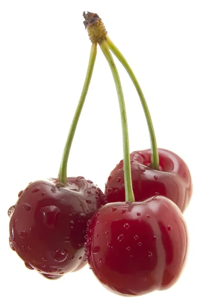 Três recortes de cereja doce — Fotografia de Stock