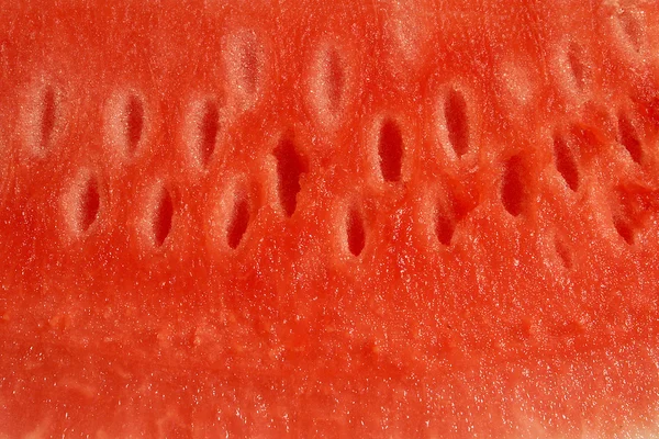 Zblízka meloun vodní — Stock fotografie