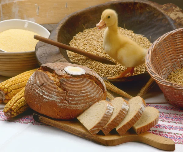 Pane multigrano con ingredienti e anatra — Foto Stock