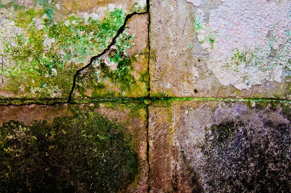 De textuur van cement — Stockfoto