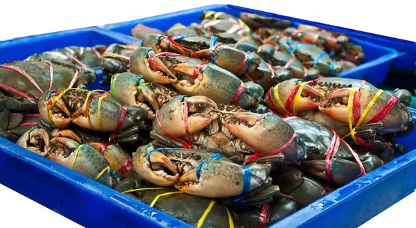 Sea krabba på marknaden — Stockfoto