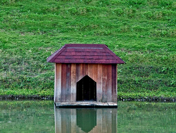 El hogar del pato —  Fotos de Stock